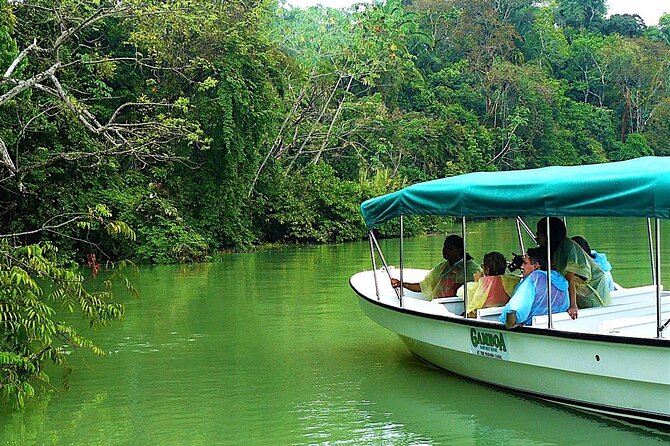 Gatun Lake Boat Adventure From Panama City - Good To Know