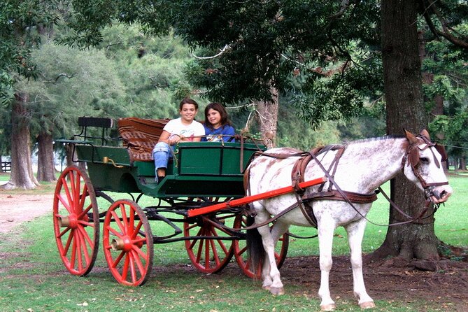 Gaucho Day Tour La Candelaria Estancia From Buenos Aires - Good To Know