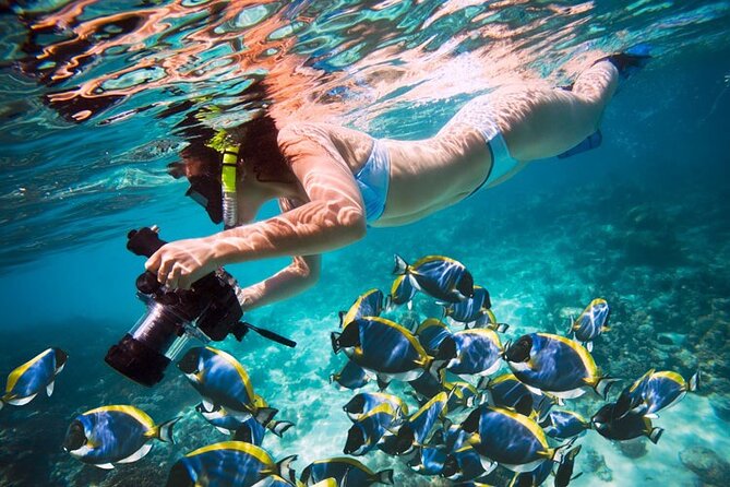 Giftun Island, All Day Trip With Snorkeling - Good To Know