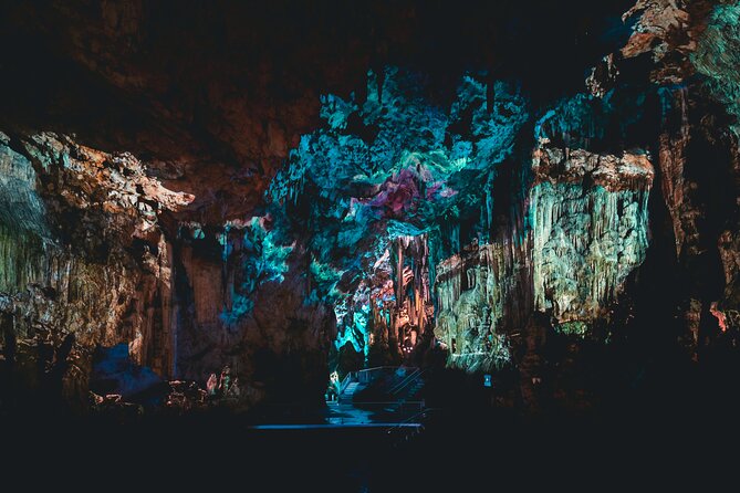 Go Tours Premium Gibraltar Experience With Professional Guide - Tour Overview