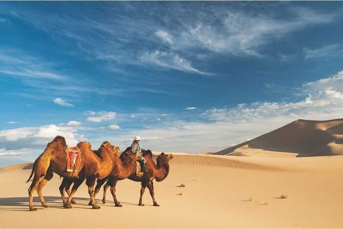 Gobi Desert, Flaming Cliffs & Ger Under Stars: 5-Day Tour - Good To Know