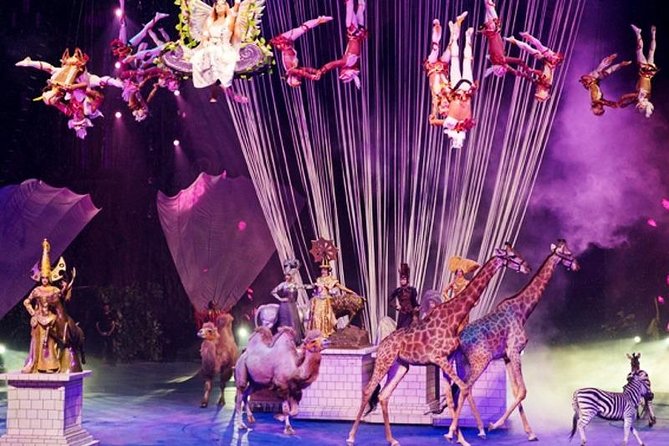 Guangzhou Chimelong International Circus Private Transfer Service - Service Details