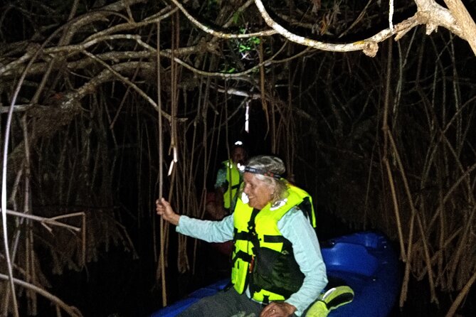 Guided Bioluminescence Night Kayaking Adventure in Belize - Good To Know