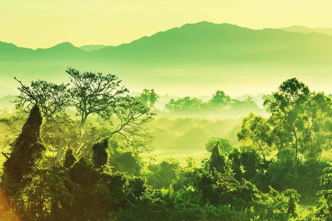 Guided Darien Jungle Experience - 6 Days / 5 Nights - Good To Know