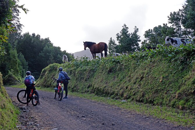 Guided Electric Mountain Bike Tour Ribeira Grande - Good To Know