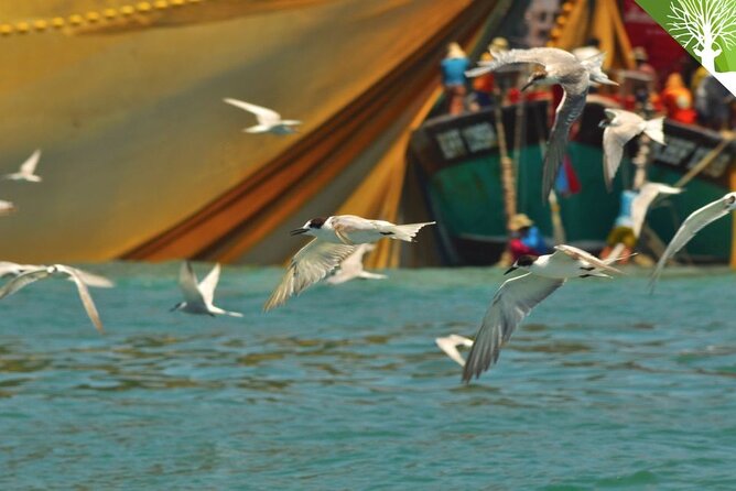 Guided Half Day Mangrove Safari Tour In Langkawi - Sharing Basis - Good To Know