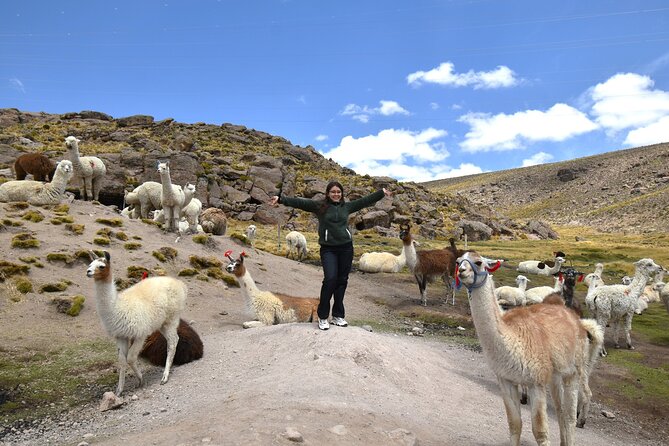 Guided Tour of 2 Days and a Night From Colca to Puno - Good To Know