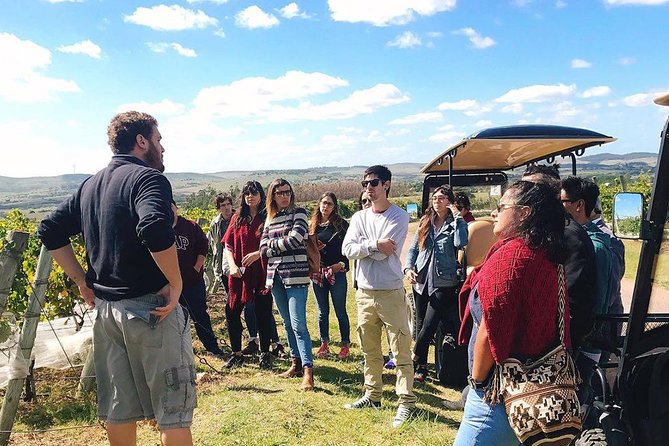 Guided Tour of Vineyards - Good To Know