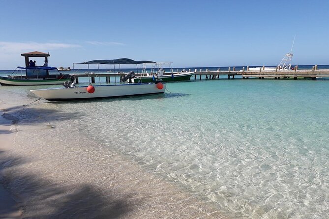 Guided Tour to Discover Roatán Starting From the Center - Meeting and Pickup Details