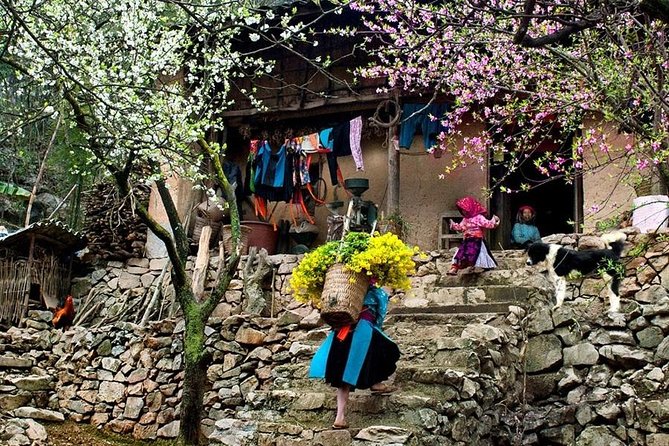 Ha Giang Extreme North Motorbike Loop: Quan Ba - Yen Minh - Dong Van - Meo Vac - Good To Know