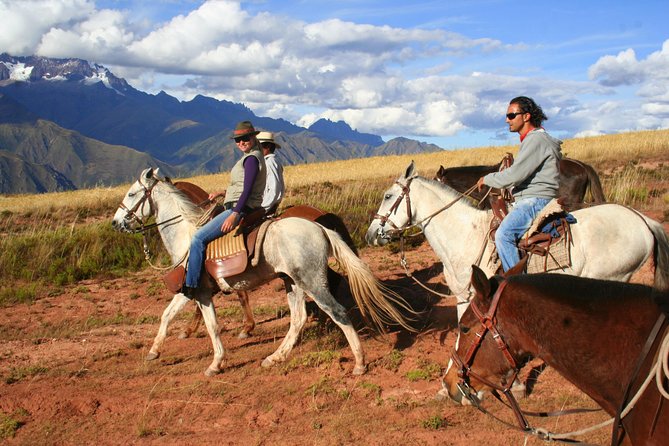 Half Day - City Horse Traditional Riding Tour Group Service - Good To Know