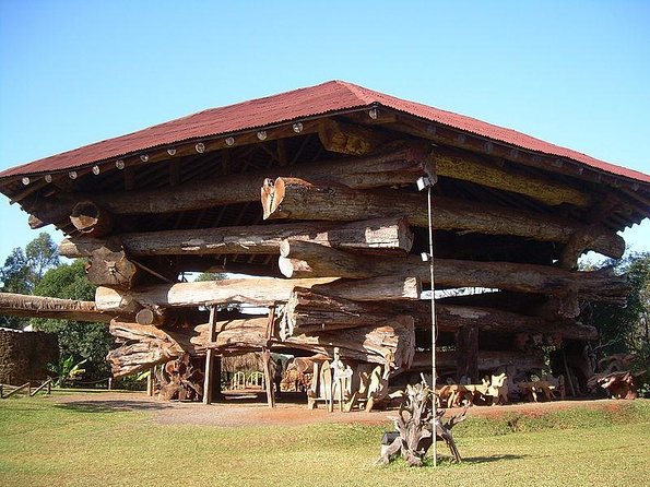 Half Day City Tour Puerto Iguazú Hotels in the Iriapu Jungle - Good To Know