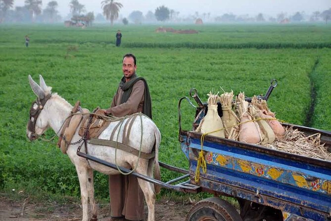 Half-Day Egypt Country Side Farm Tour With Pick up - Good To Know