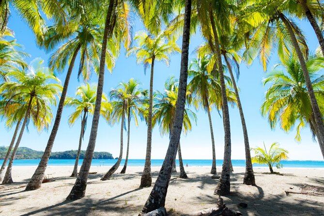 Half Day Guided Beach Hopping Private Charter Flamingo Costa Rica - Good To Know