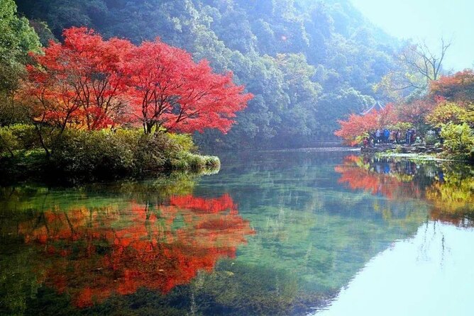 Half-Day Hangzhou Jiuxi Stream and Tea Plantation Experience - Good To Know