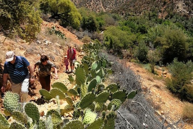 Half Day Hiking Between Palm Trees and Valley in Agadir - Good To Know