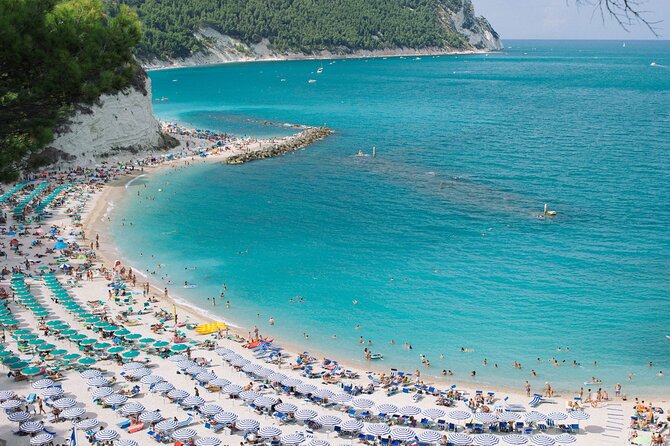 Half-Day Kayak Excursion From Sirolo - Experience the Half-Day Kayak Excursion