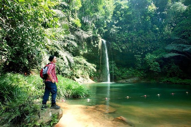 Half-Day Lambir Hills National Park Tour From Miri - Tour Details