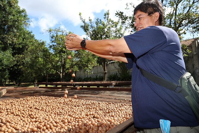 Half Day Macadamia and Coffee Tour From Quetzal Port - Good To Know