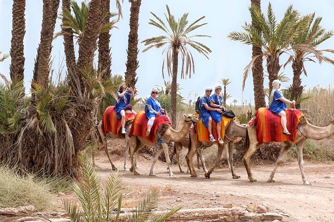 Half Day Marrakech Camel Safari - Good To Know