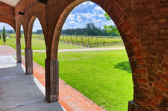 Half Day Private Canelones Wine Tour From Montevideo - Good To Know