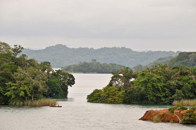 Half Day Private Kayak Tour on Lake Gatun - Good To Know