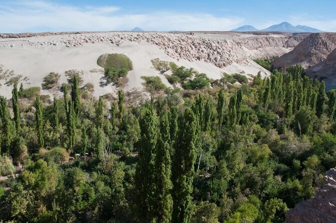 Half Day Private Tour of the Salar De Atacama and Toconao - Good To Know