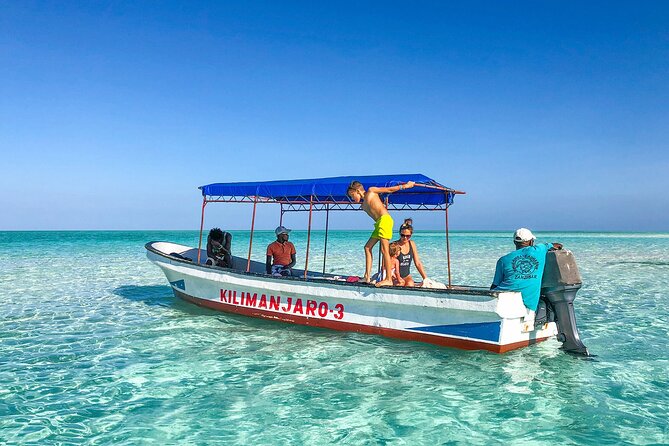 Half-day Snorkeling at Mnemba Coral Gardens - Good To Know