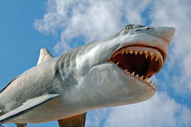 Half Day Tour in Punta Del Este and Jose Ignacio - Good To Know