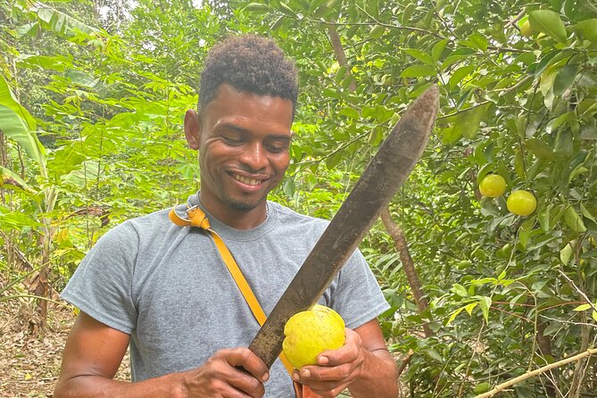 Half-Day Tour of Family Owned Farm in Puerto Viejo Area - Good To Know