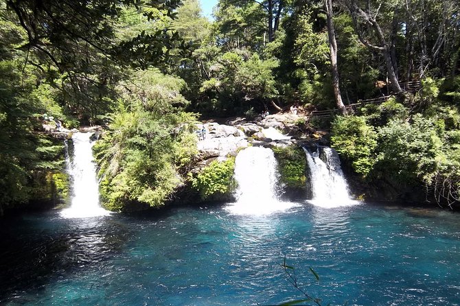 Half Day Tour to the Eyes of Caburgua From Pucon - Good To Know