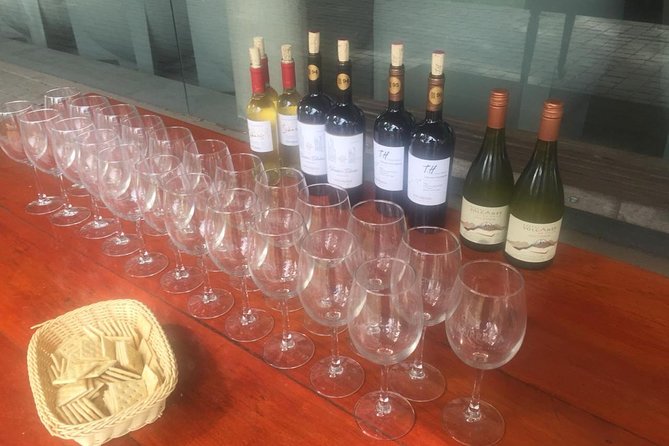 Half Day Tour to Undurraga Winery, Santiago De Chile