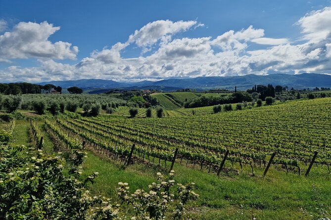 Half Day VIP Wine Tours Top Winery 5 Hours - Good To Know