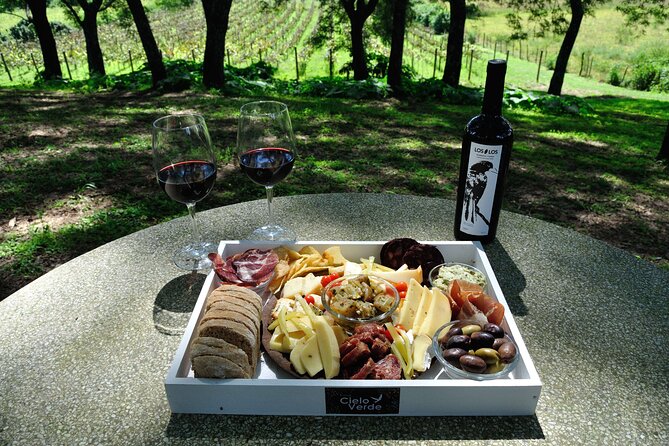 Half Day Wine Tasting in Salta - Good To Know