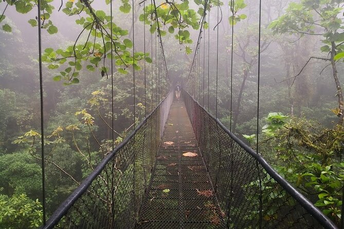 Hanging Bridges and Zip Line From Port Cardera Especially for Cruises - Good To Know