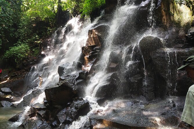 Heaven Gate East Bali Private Tour - Pricing and Guarantee