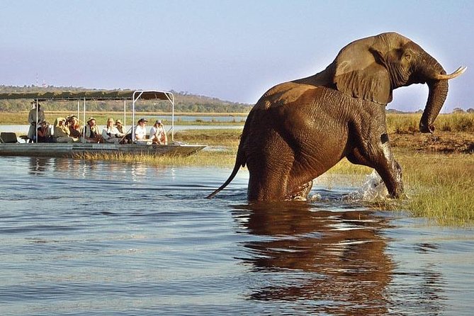 Helicopter,Falls Tour and Chobe Day Trip Combo - Good To Know