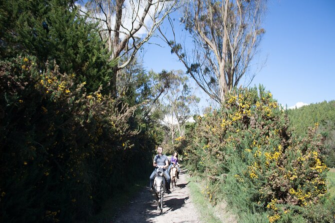 Highlands Horseback Riding in Bogotá - Good To Know