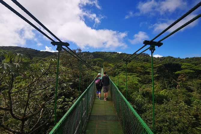 Hike in the Rainforest and Coffee Tour in Monteverde - Good To Know