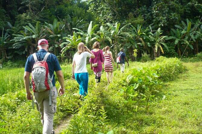 Hike to Peacock Hill From Kandy - Good To Know