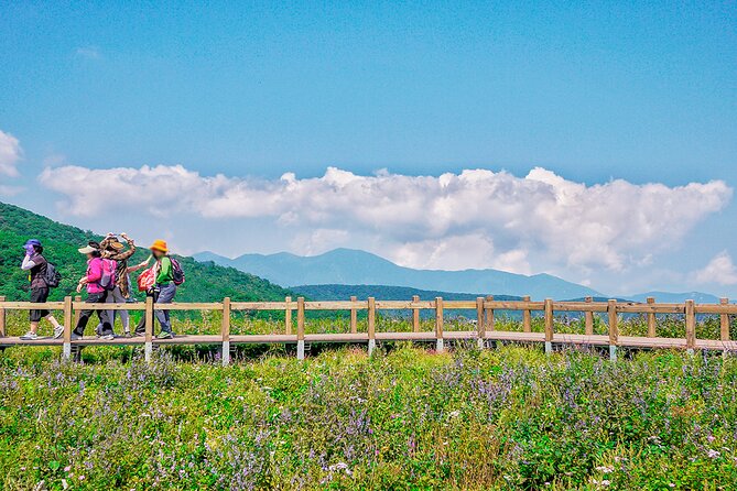 Hiking in Gombaeryeong Wildflowers of Seoraksan National Park - Good To Know