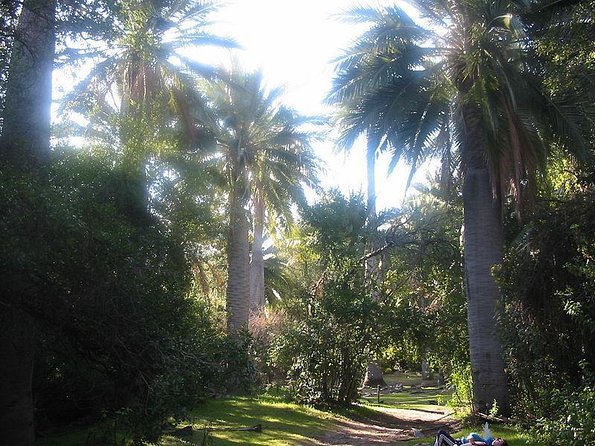 Hiking Tour in LA CAMPANA NATIONAL PARK Private Tour - Good To Know
