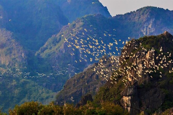 Hoa Lu - Van Long Nature Reserve Day Tour With Cycling Tour - Van Long Nature Reserve