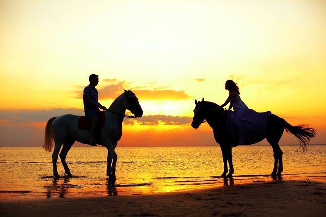 Horse and Camel Riding Adventure From Hurghada - Transportation Details