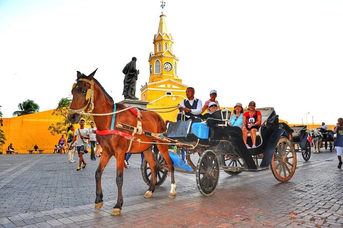 Horse Carriage Ride - Good To Know