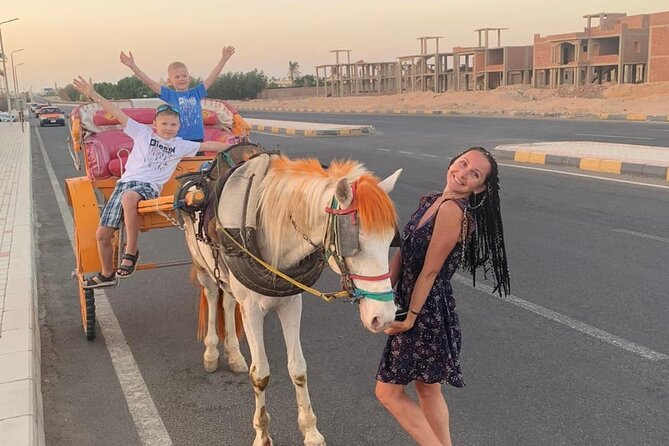 Horse Drawn Carriage 3 Hours With BBQ Dinner at the Desert, Transfer - Hurghada - Good To Know
