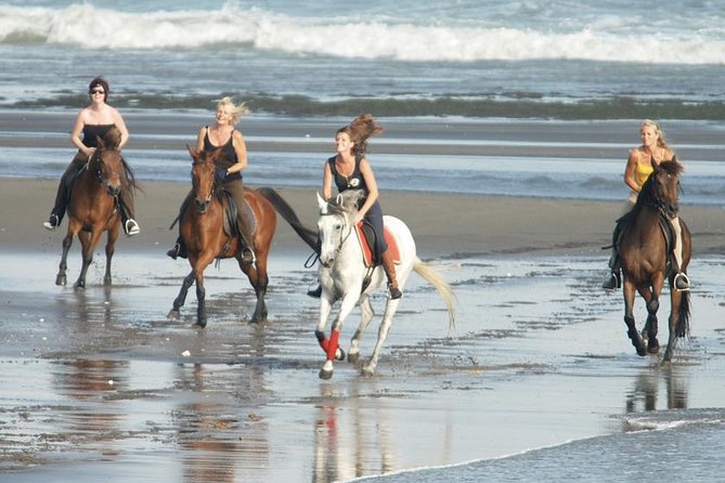 Horse Riding At Black Sand Beach & Two Places Waterfalls - Good To Know