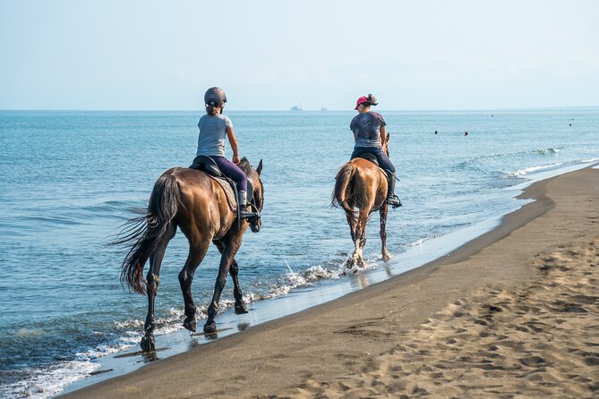 Horse Riding for 2 Hours on the Sea and Desert - Hurghada - Good To Know