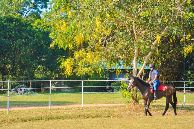 Horse Riding for Beginners From Sigiriya - Good To Know