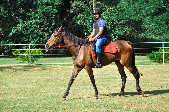 Horse Riding for Professionals From Negombo - Good To Know